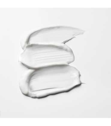 Shu Uemura Color Lustre Hair Mask - mask texture