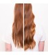 Shu Uemura Essence Absolue Nourishing Scalp Oil Concentrate